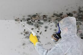 Best Industrial Mold Remediation  in Fort Polk South, LA